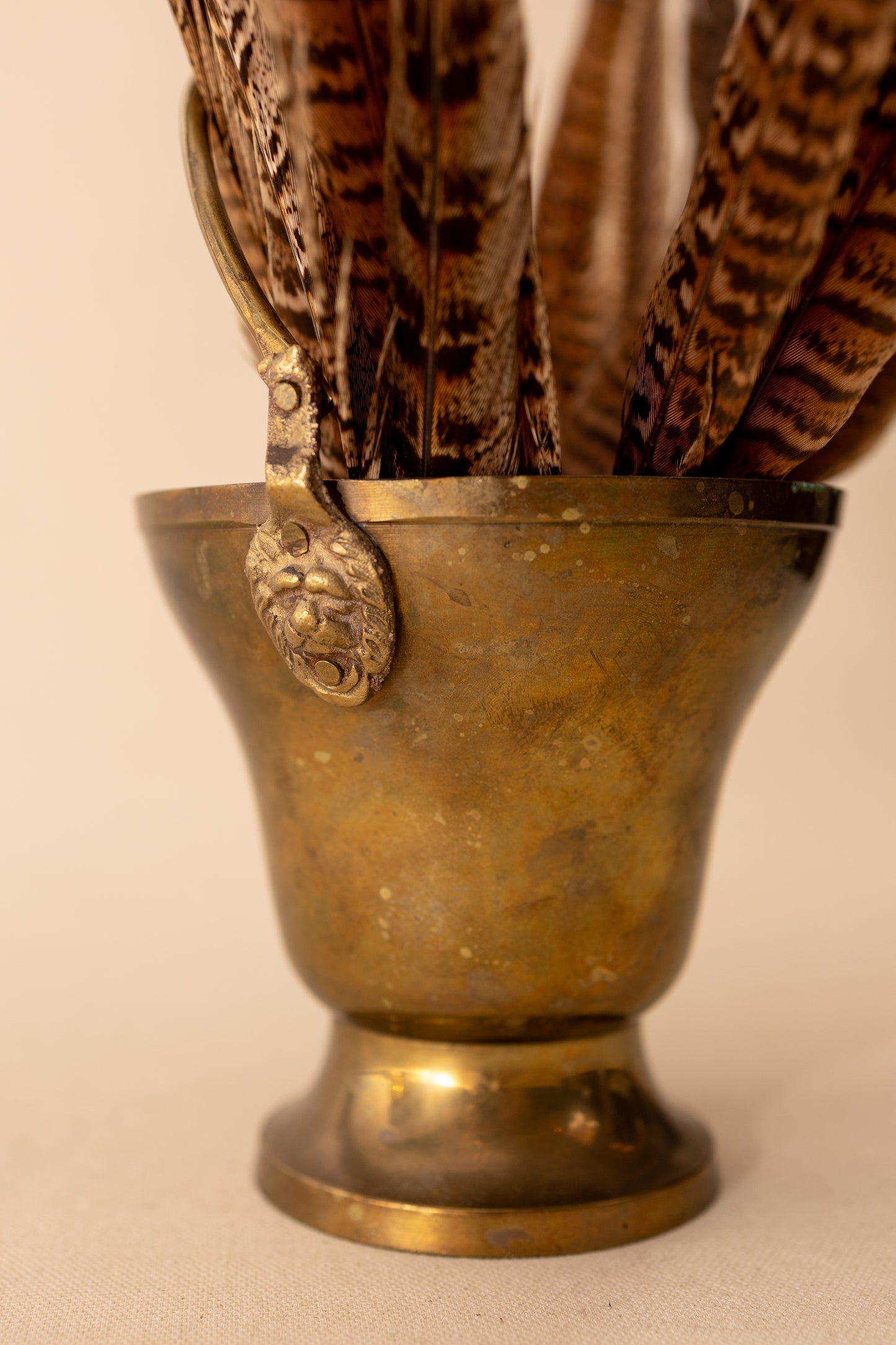 Brass Lion Head Pot