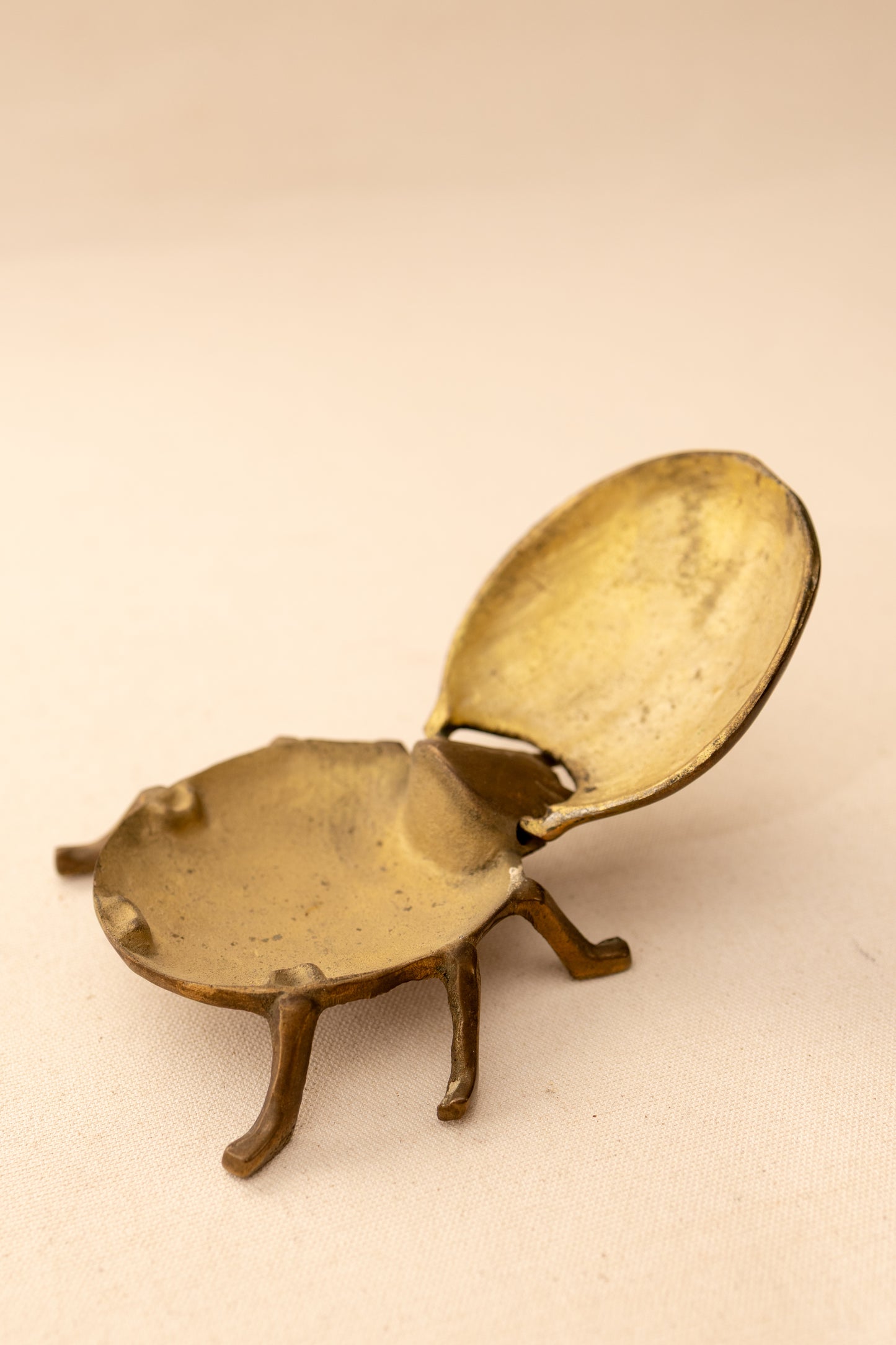 Brass Ladybug Match Holder