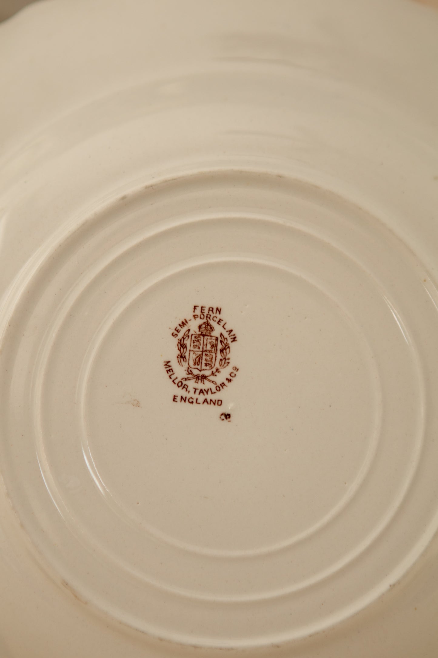 Set of Two Fern Brown Transferware Bowls