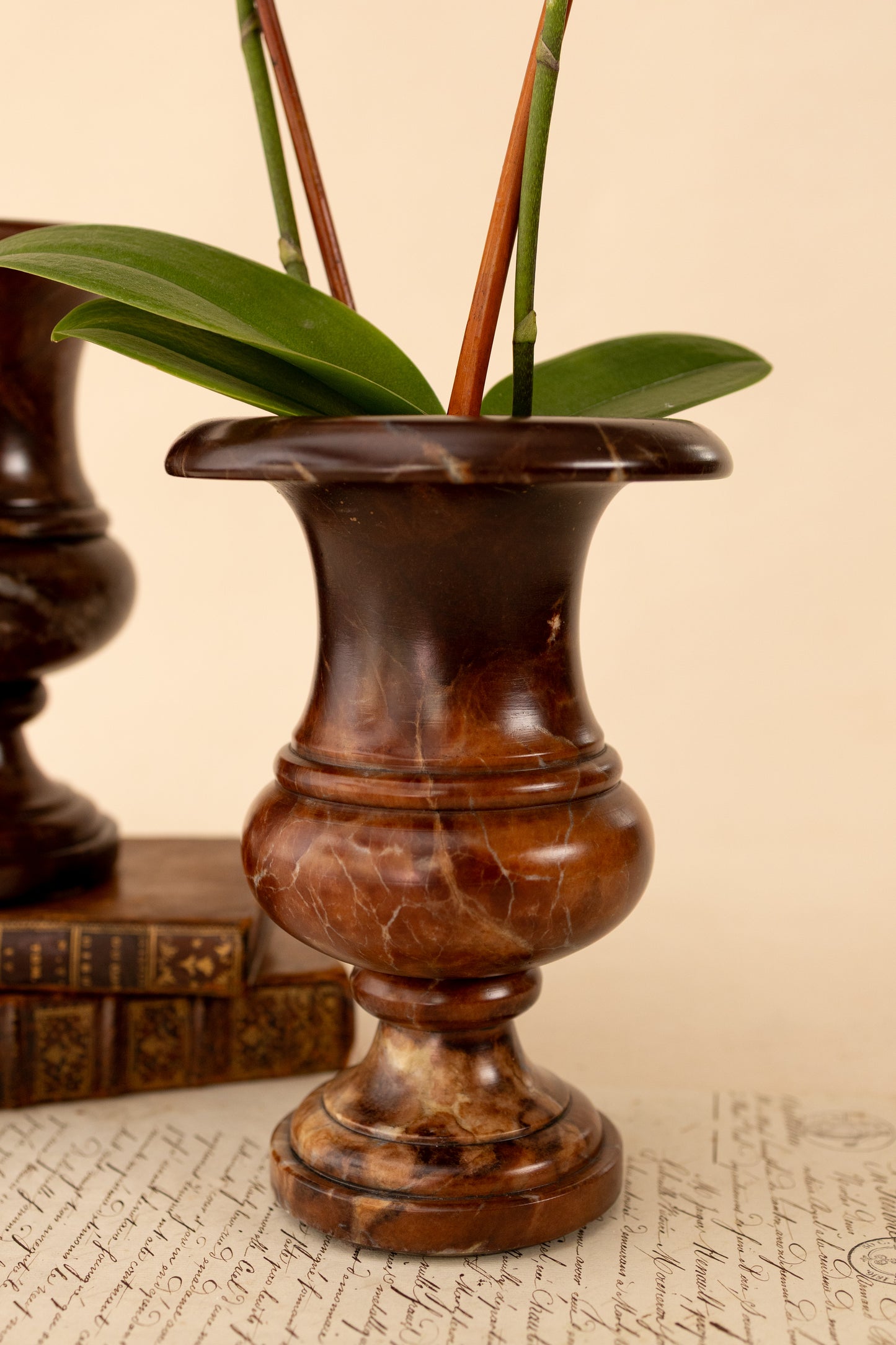 Pair of Brown Alabaster Urns