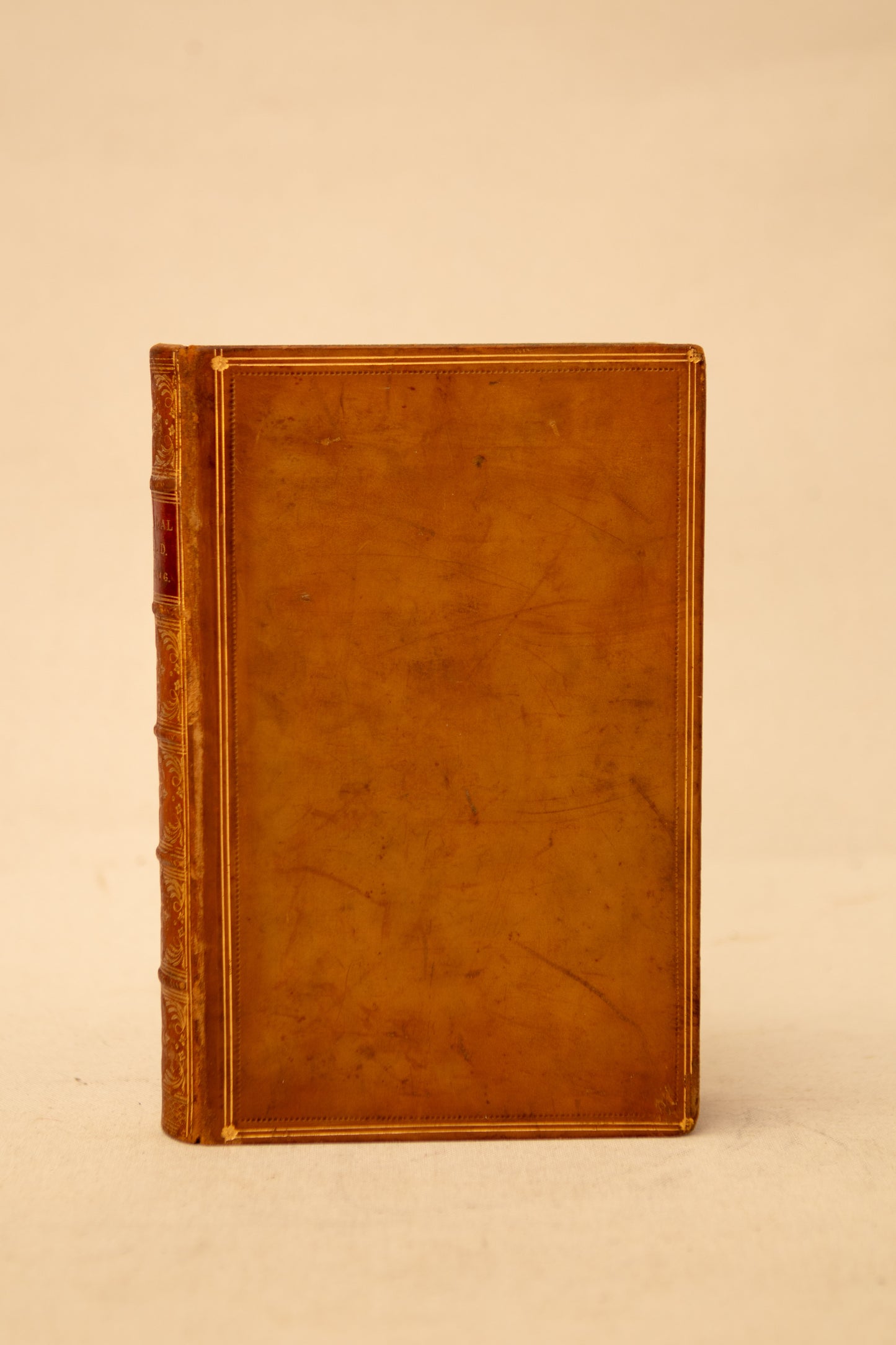 The Tropical World Book