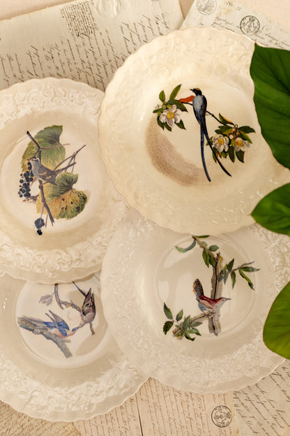 Alfred Meakin Audubon Bird Dinner Plates