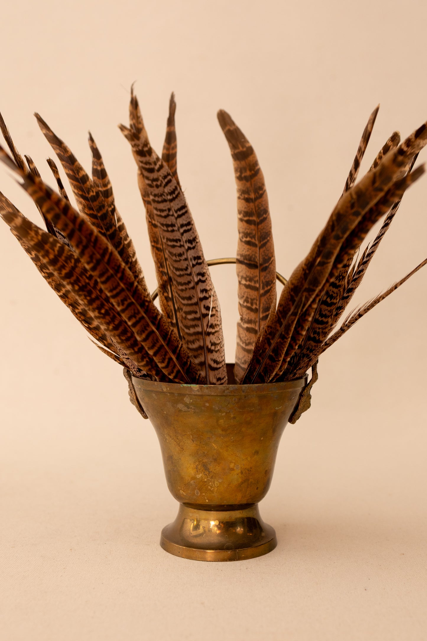 Brass Lion Head Pot