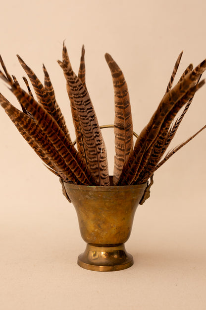 Brass Lion Head Pot