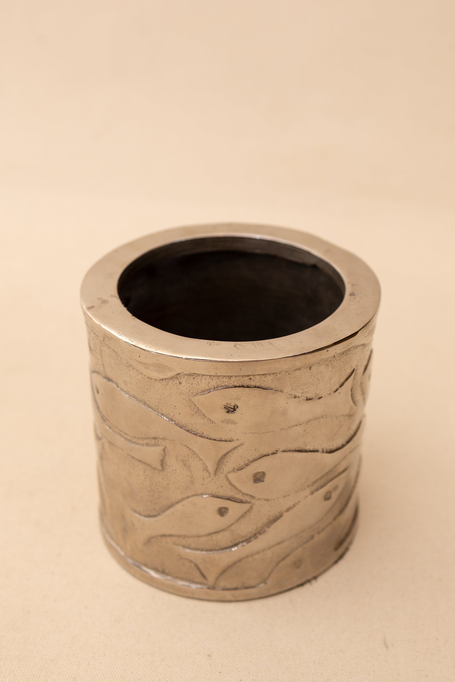Silver Fish Canister