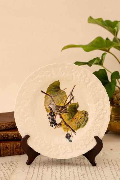 Alfred Meakin Audubon Bird Luncheon Plates