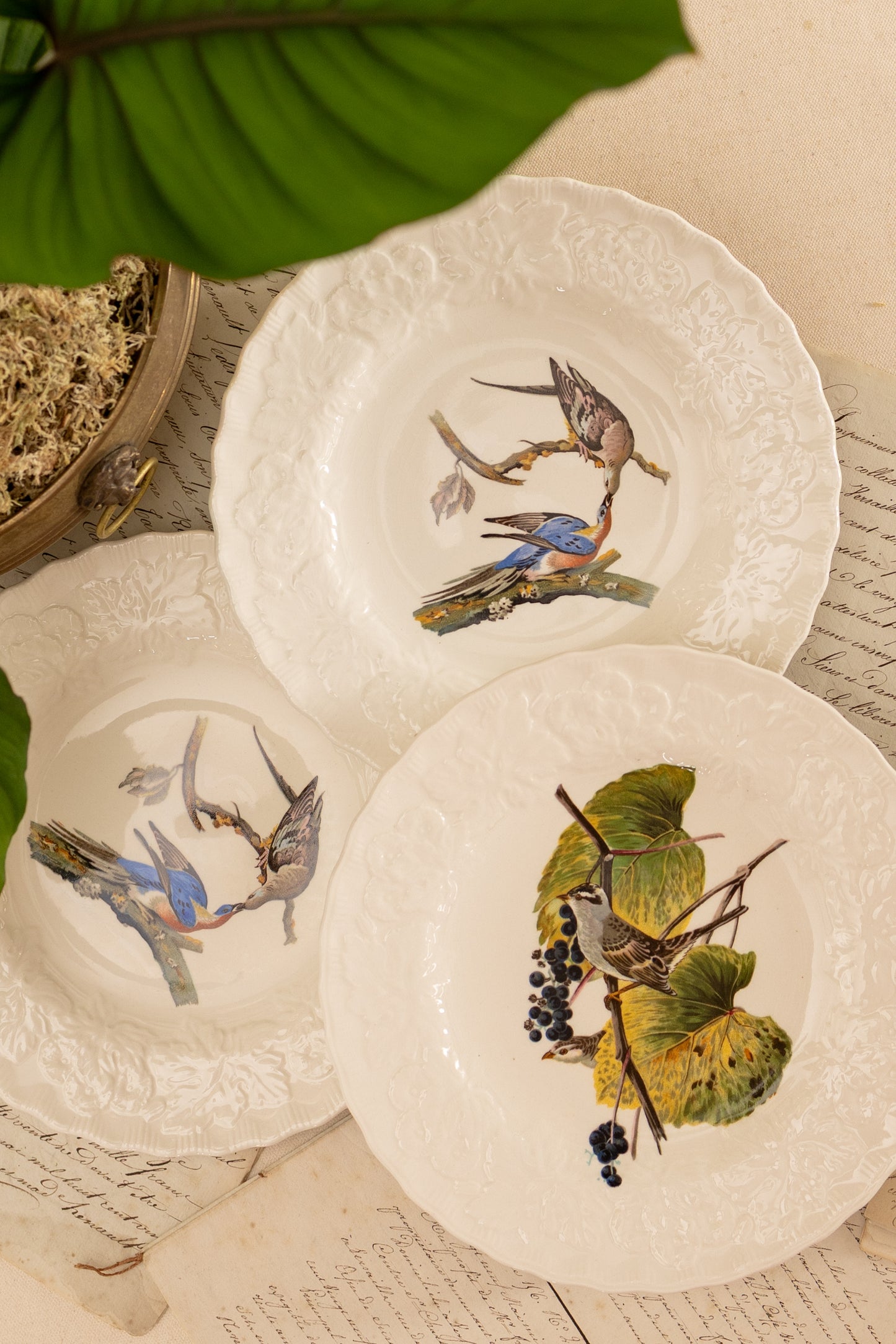 Alfred Meakin Audubon Bird Luncheon Plates
