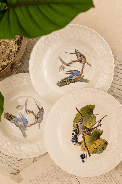 Alfred Meakin Audubon Bird Luncheon Plates