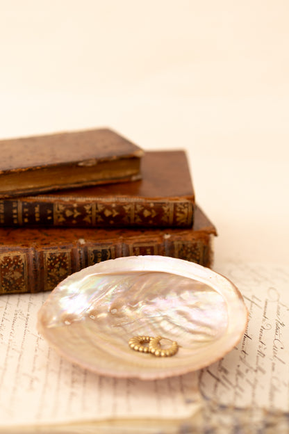 Abalone Shell Catchall