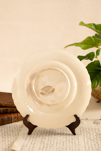 Alfred Meakin Audubon Bird Dinner Plates
