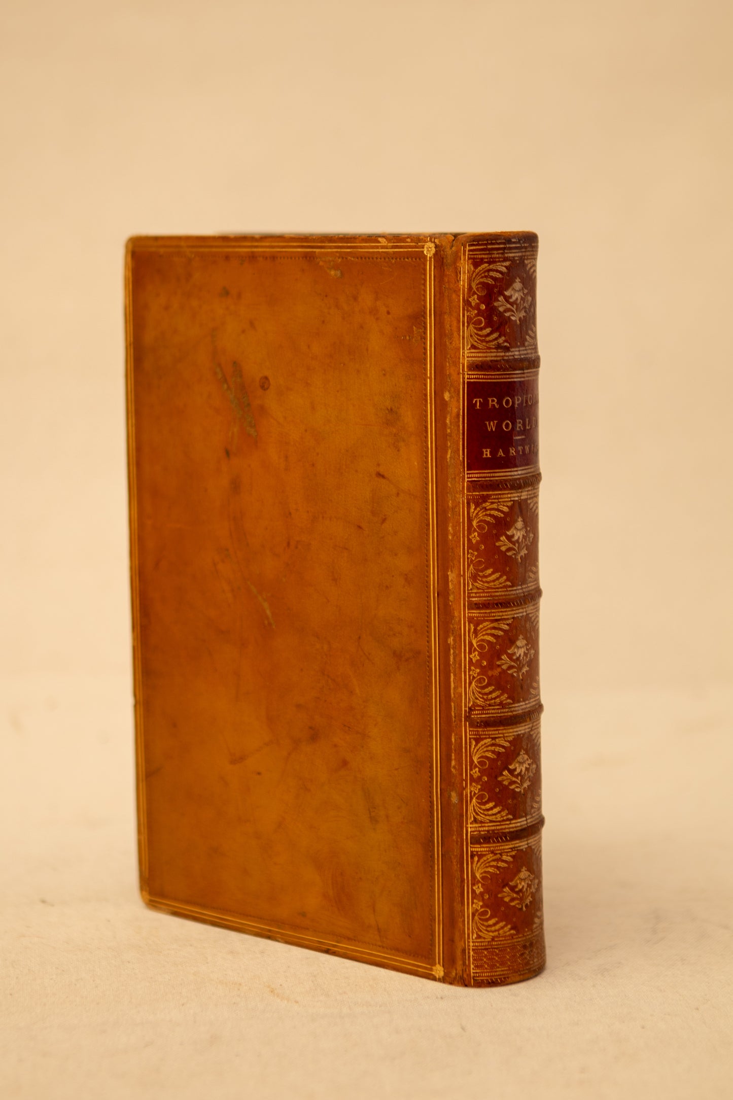 The Tropical World Book