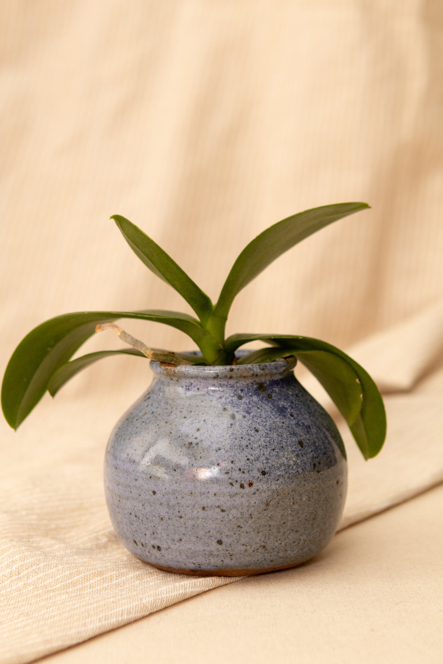 Studio Pottery Vase