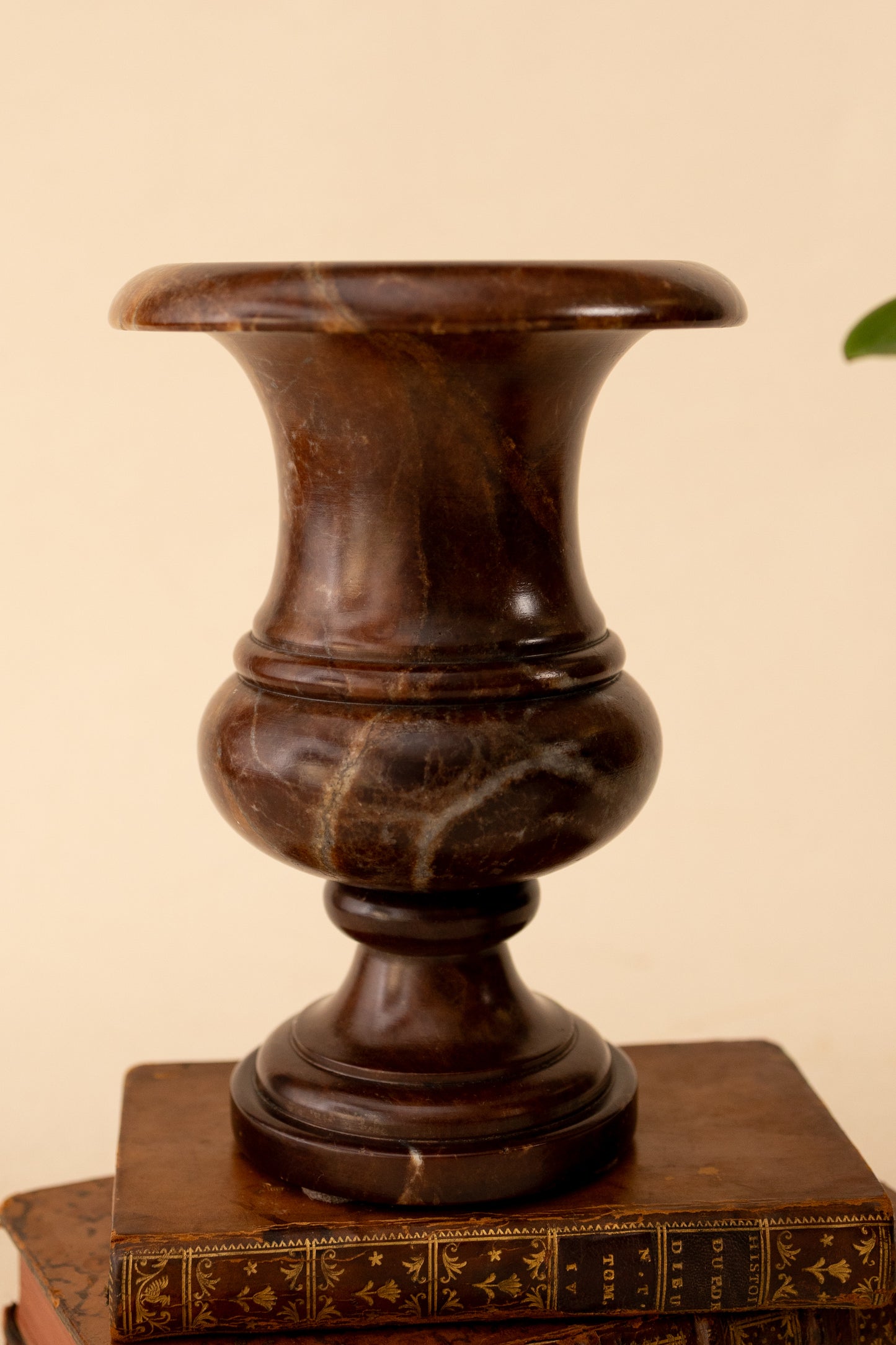 Pair of Brown Alabaster Urns