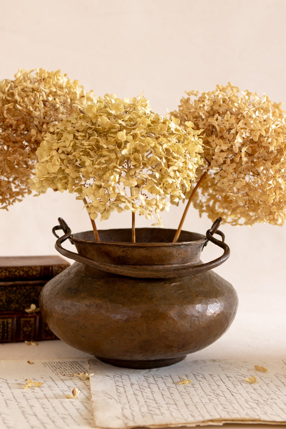 Hammered Copper Pot