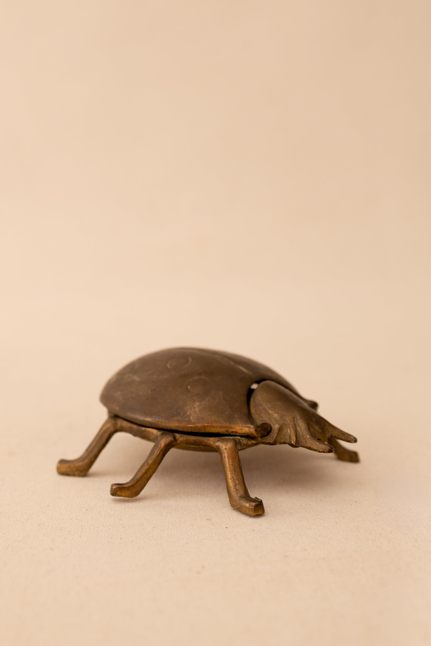 Brass Ladybug Match Holder