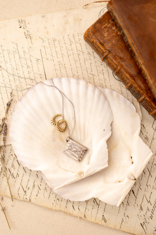 Natural Scallop Shells
