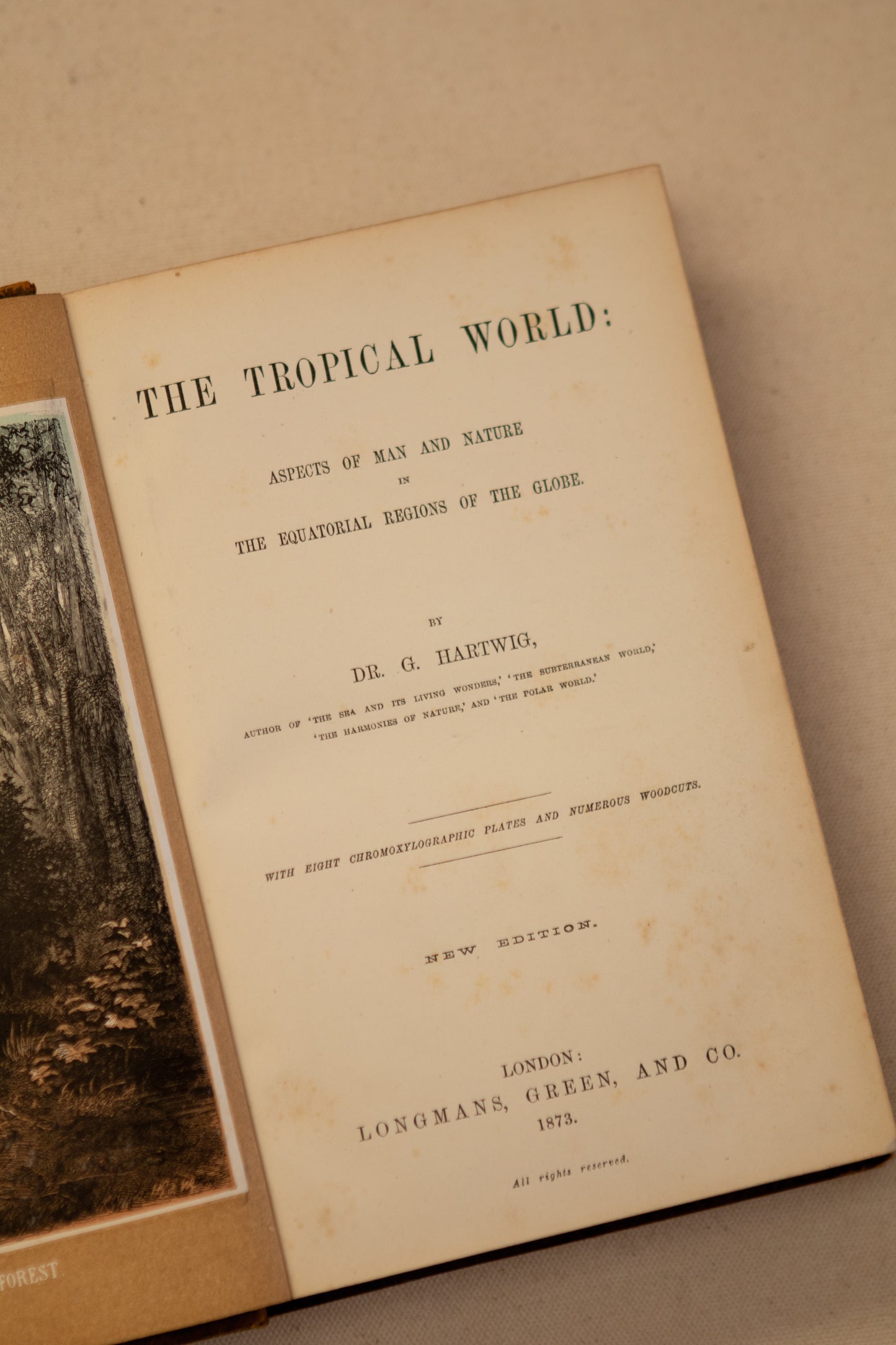 The Tropical World Book