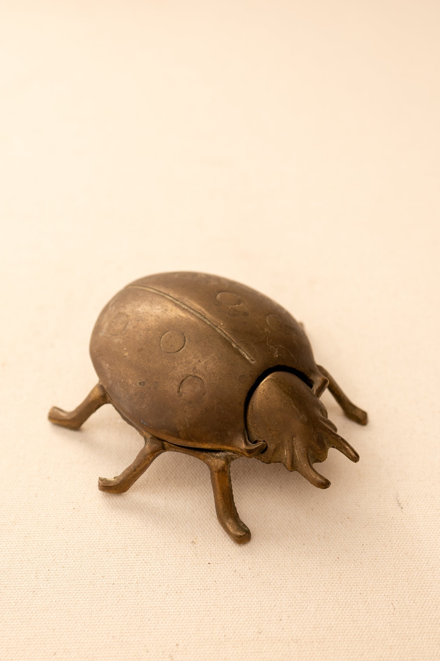 Brass Ladybug Match Holder