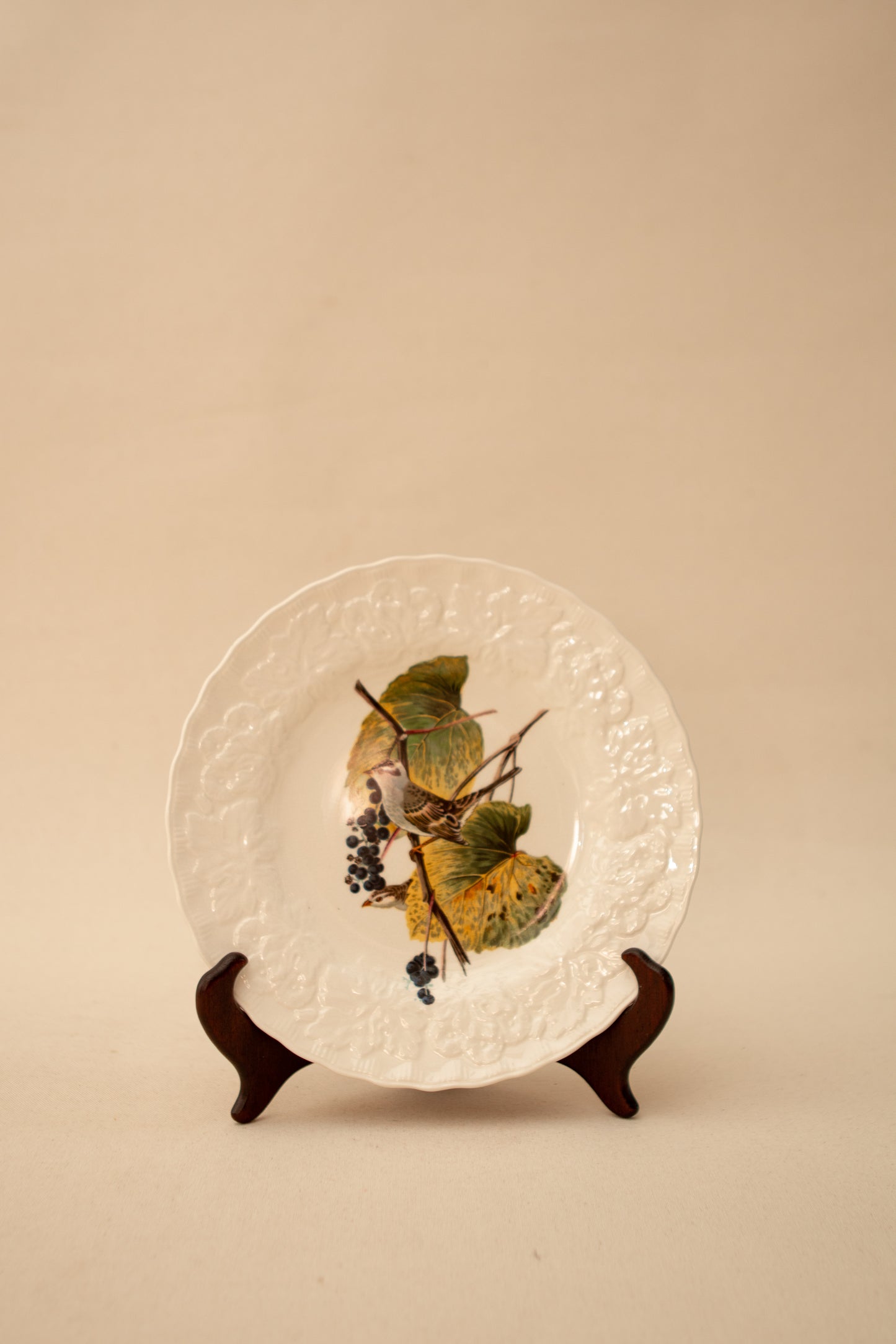 Audubon lunch bird plate
