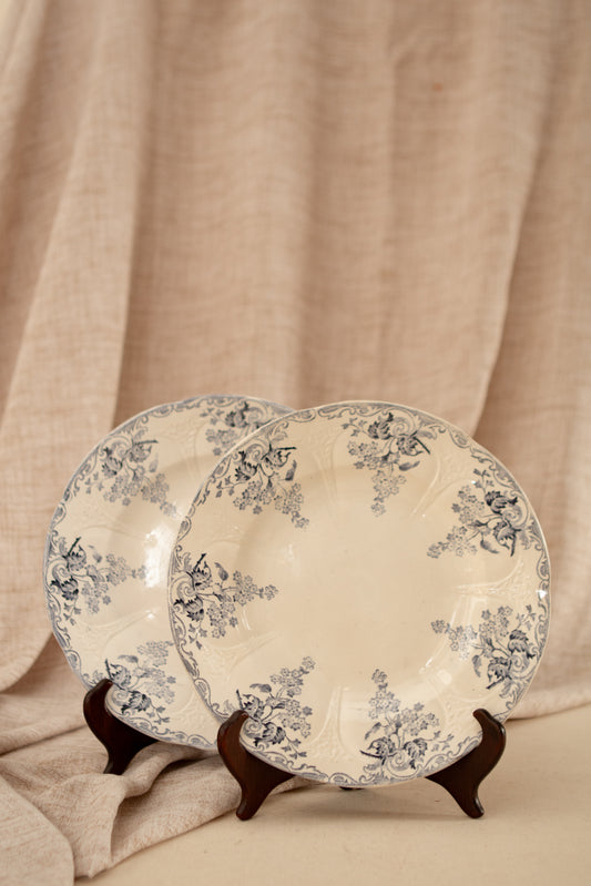 Set of Two Blue Transferware Plates