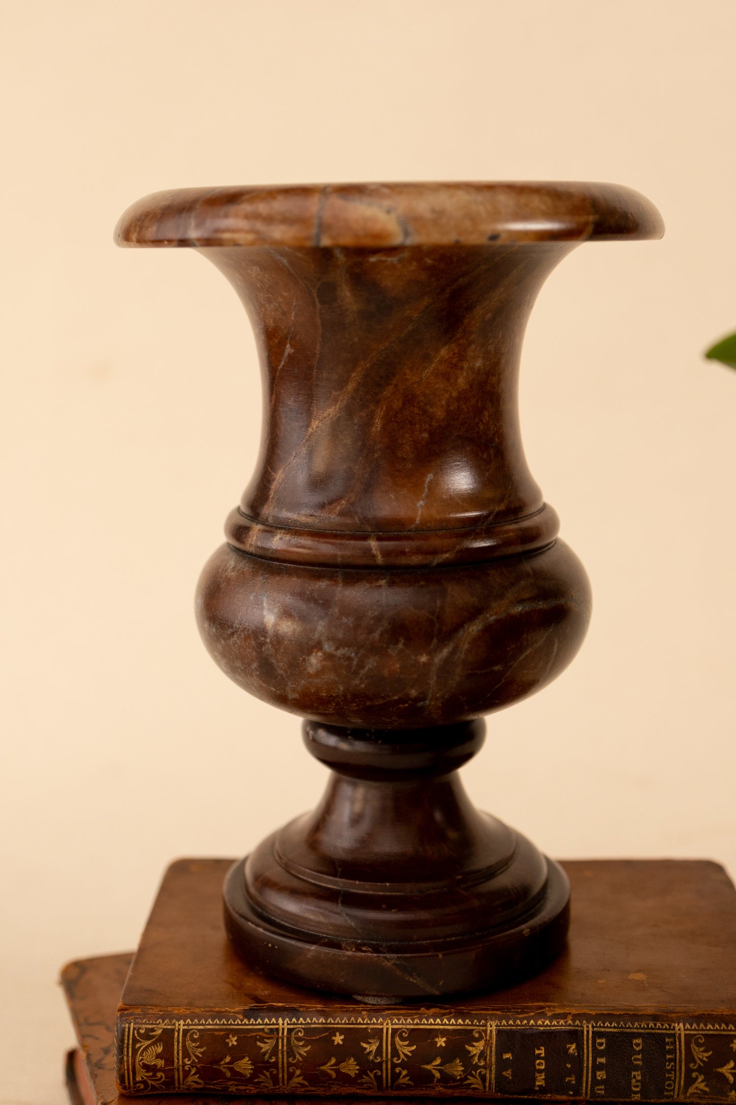 Pair of Brown Alabaster Urns