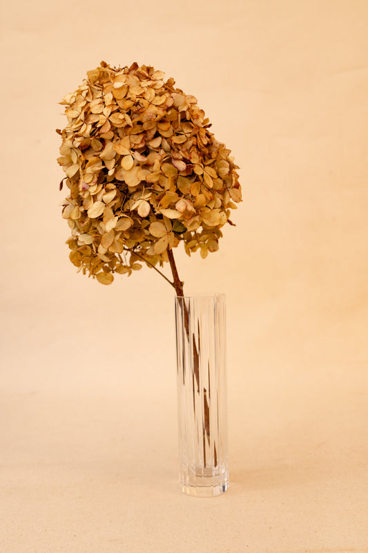 Baccarat Crystal Vase