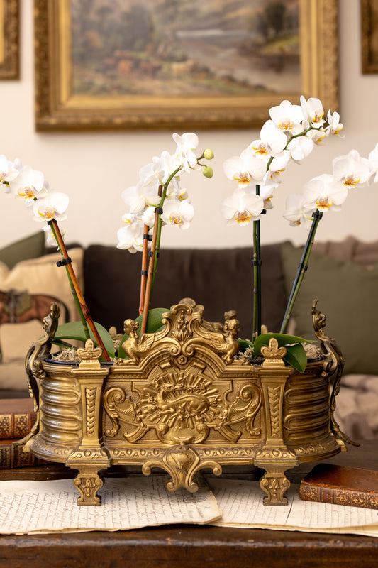 Antique French Gilt Brass Jardinière