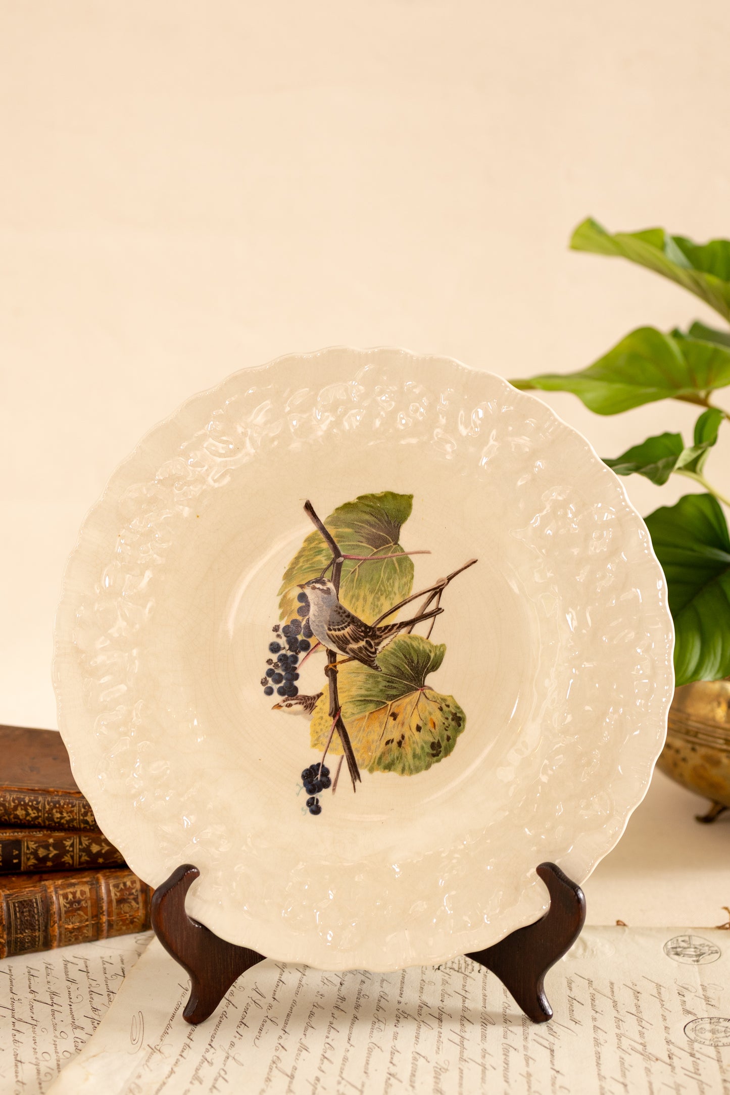Alfred Meakin Audubon Bird Dinner Plates