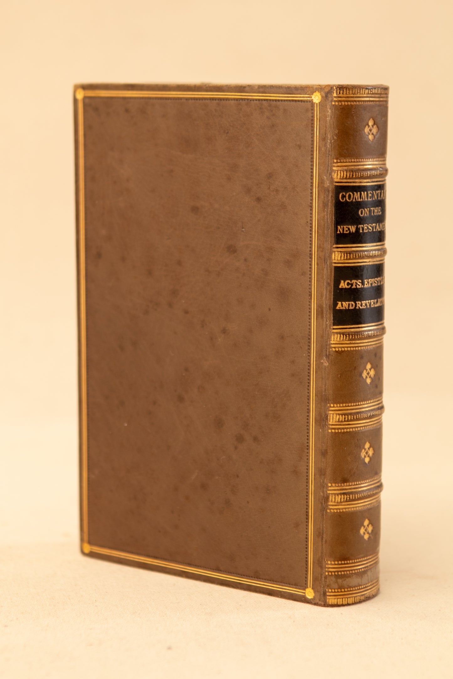 Commentary on the New Testament