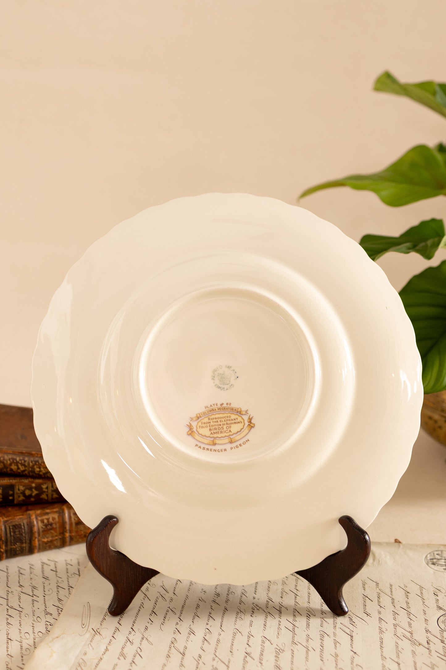 Alfred Meakin Audubon Bird Dinner Plates