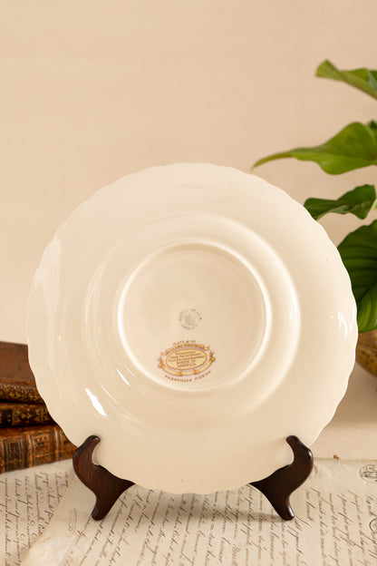 Alfred Meakin Audubon Bird Dinner Plates