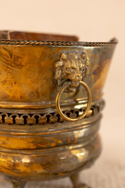 Spanish Brass Jardinière with Lion Ring Handles