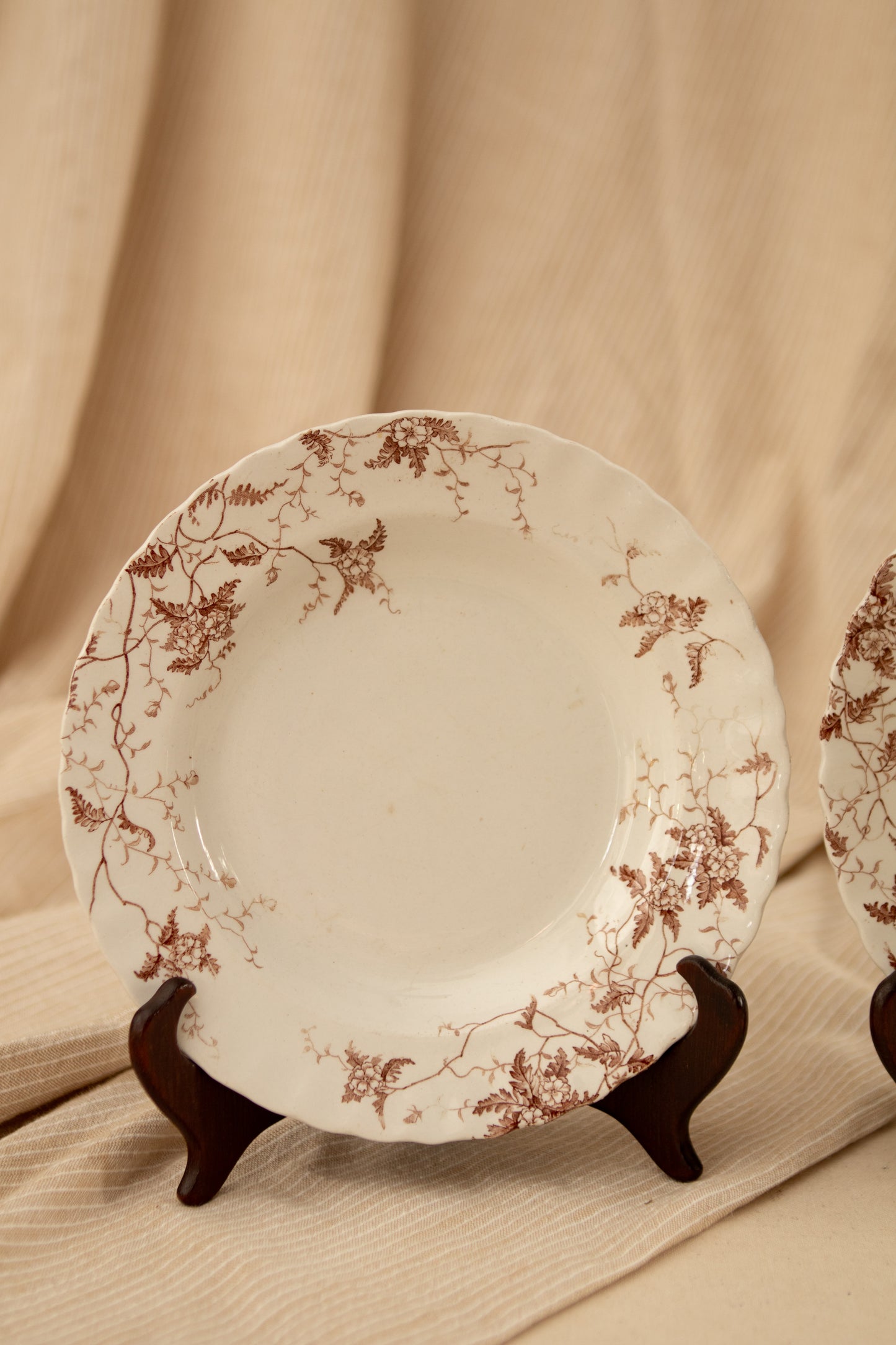 Set of Two Fern Brown Transferware Bowls