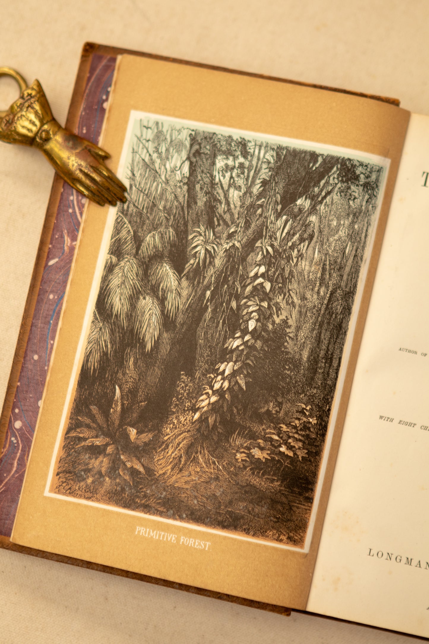 The Tropical World Book