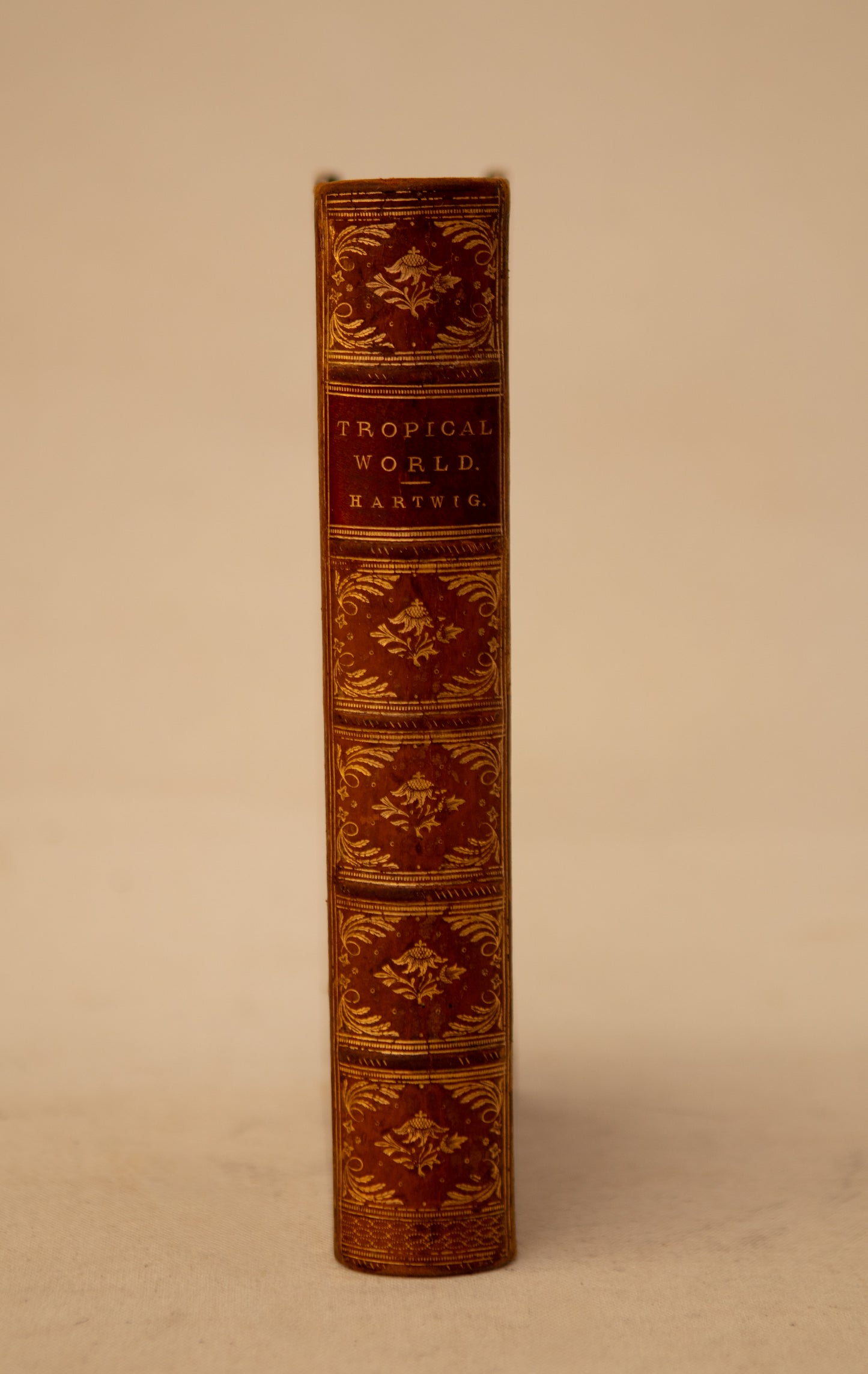 The Tropical World Book