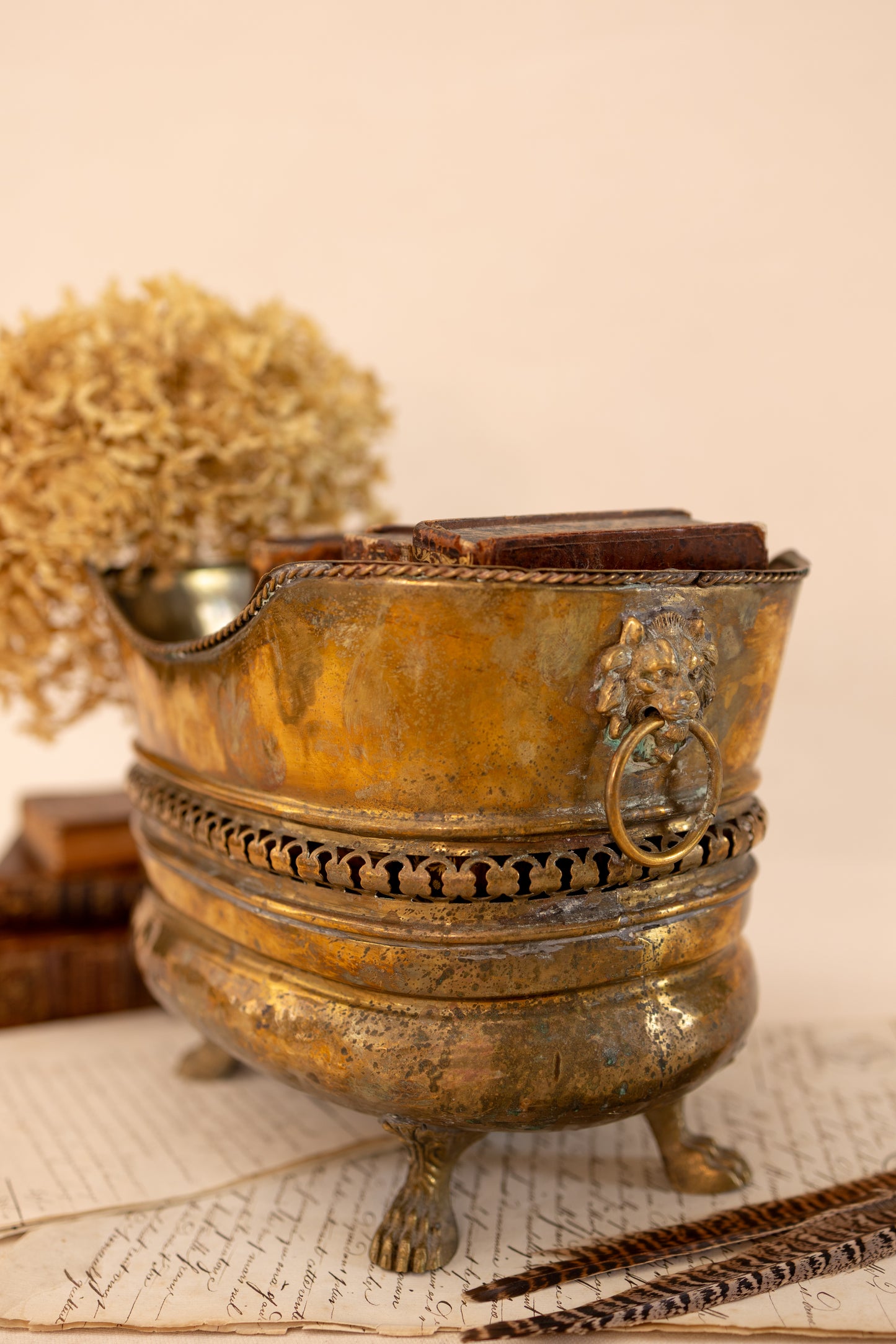 Spanish Brass Jardinière with Lion Ring Handles