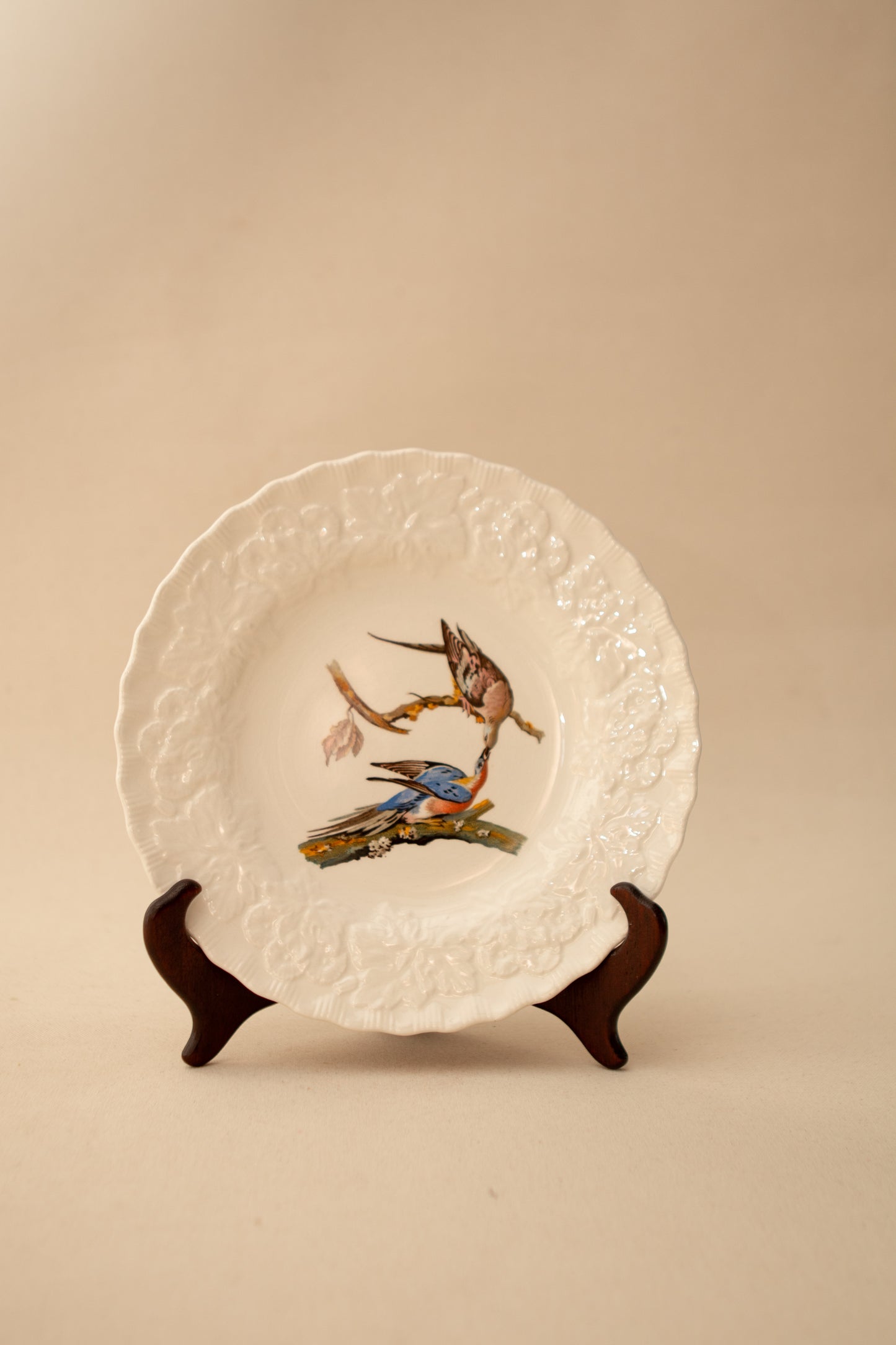 Audubon Lunch Bird Plate