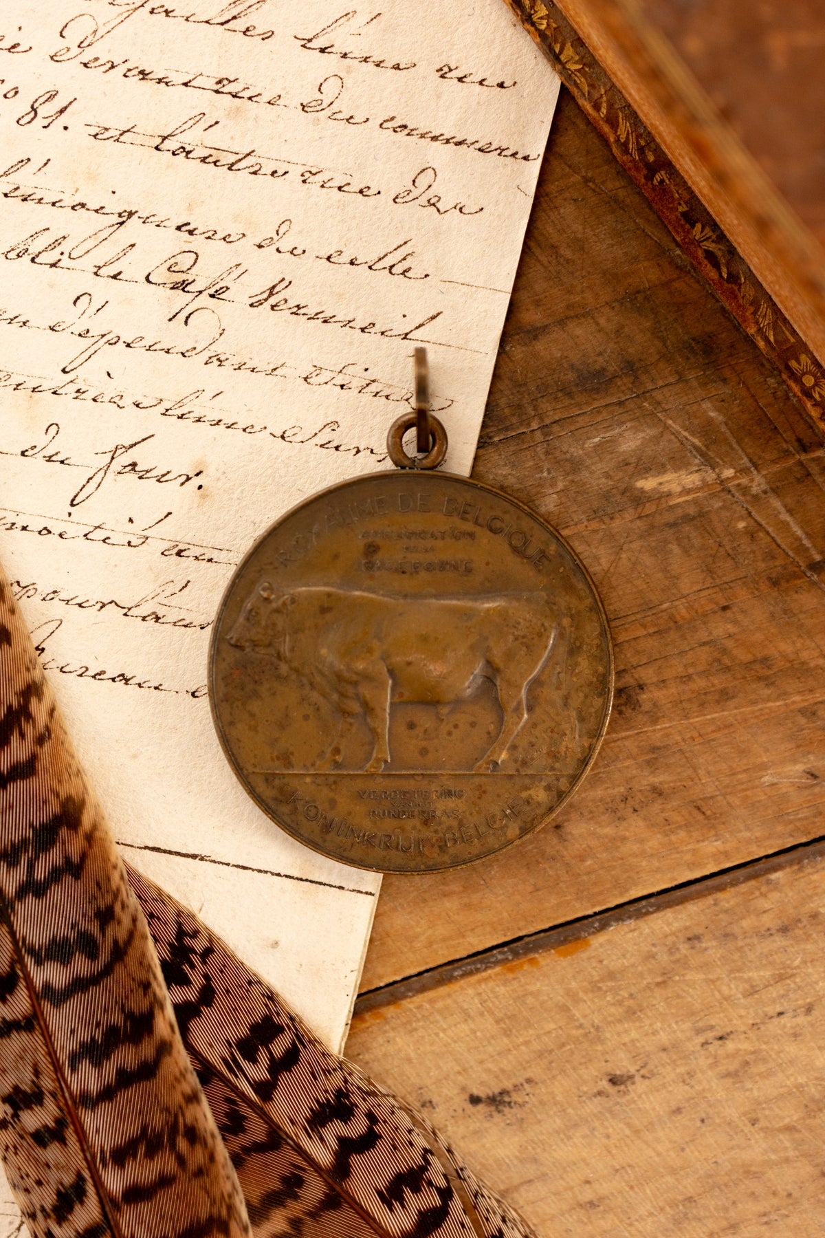 1908 Belgian Cattle Medal