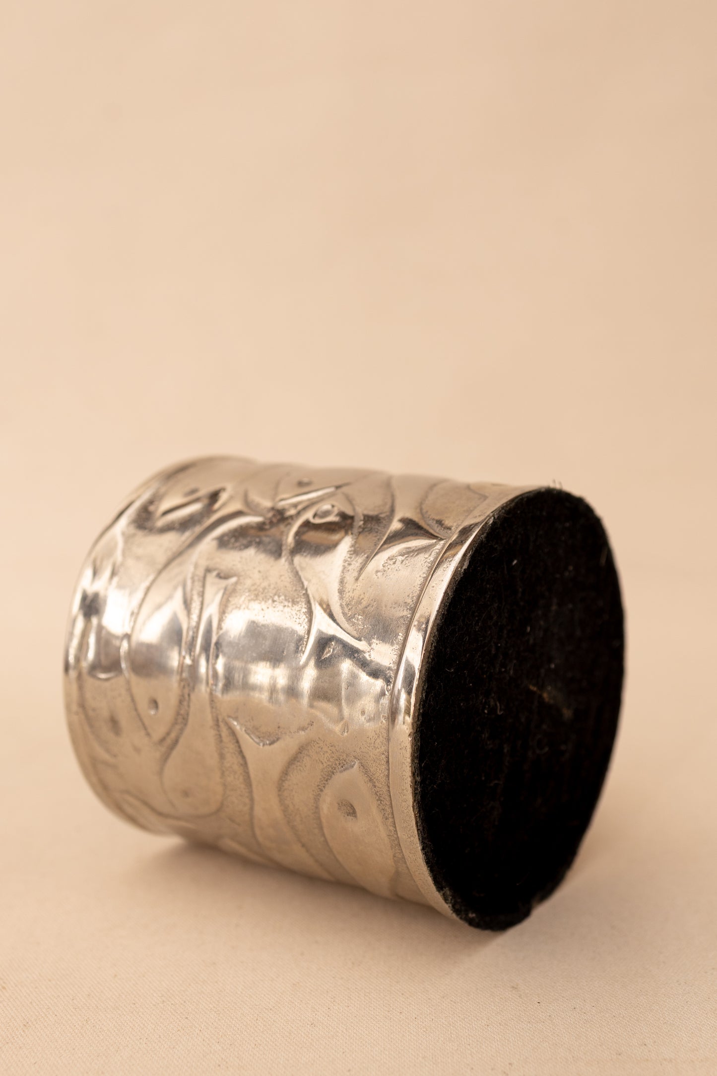 Silver Fish Canister