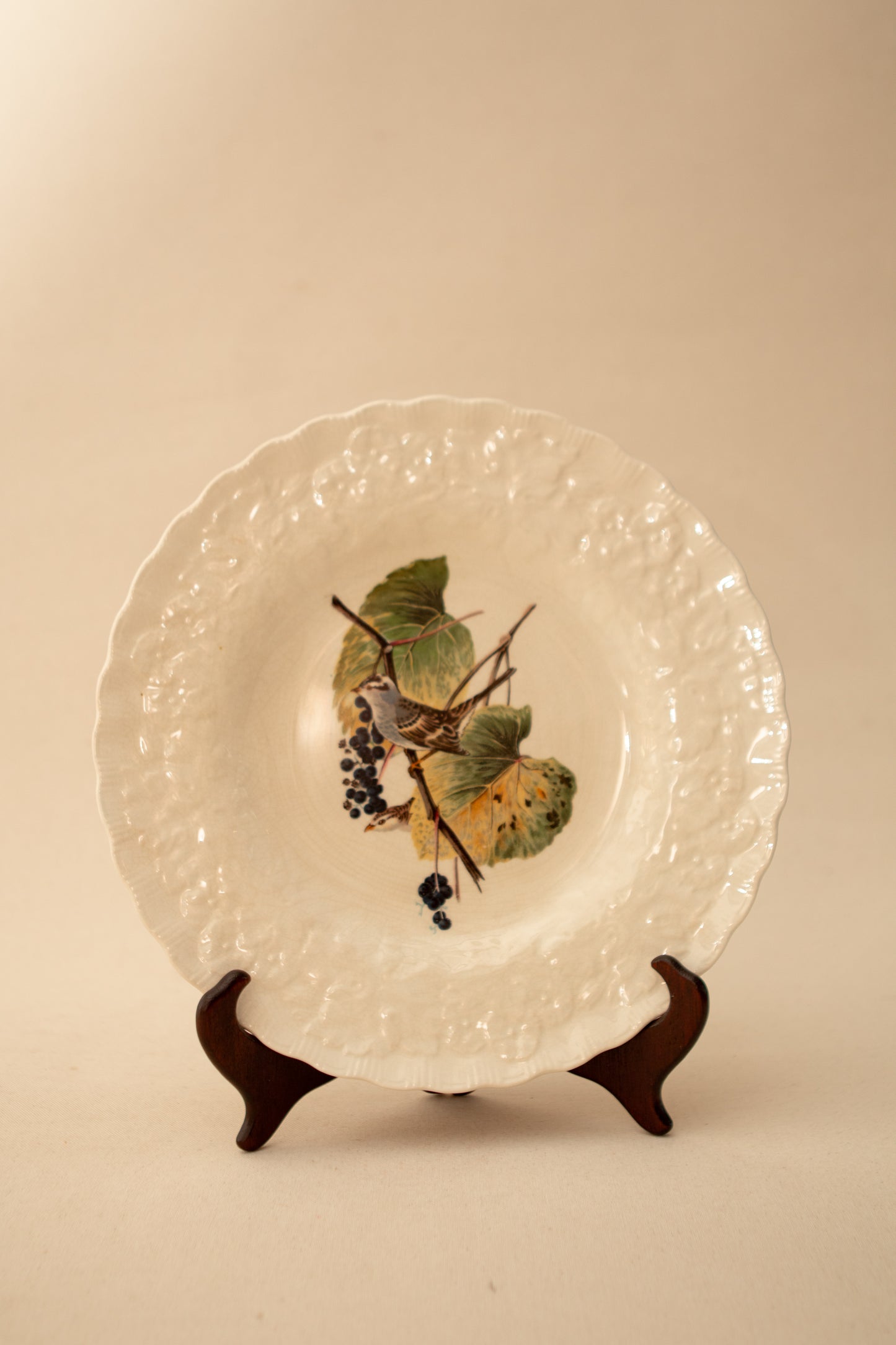 Audubon Dinner Bird Plate