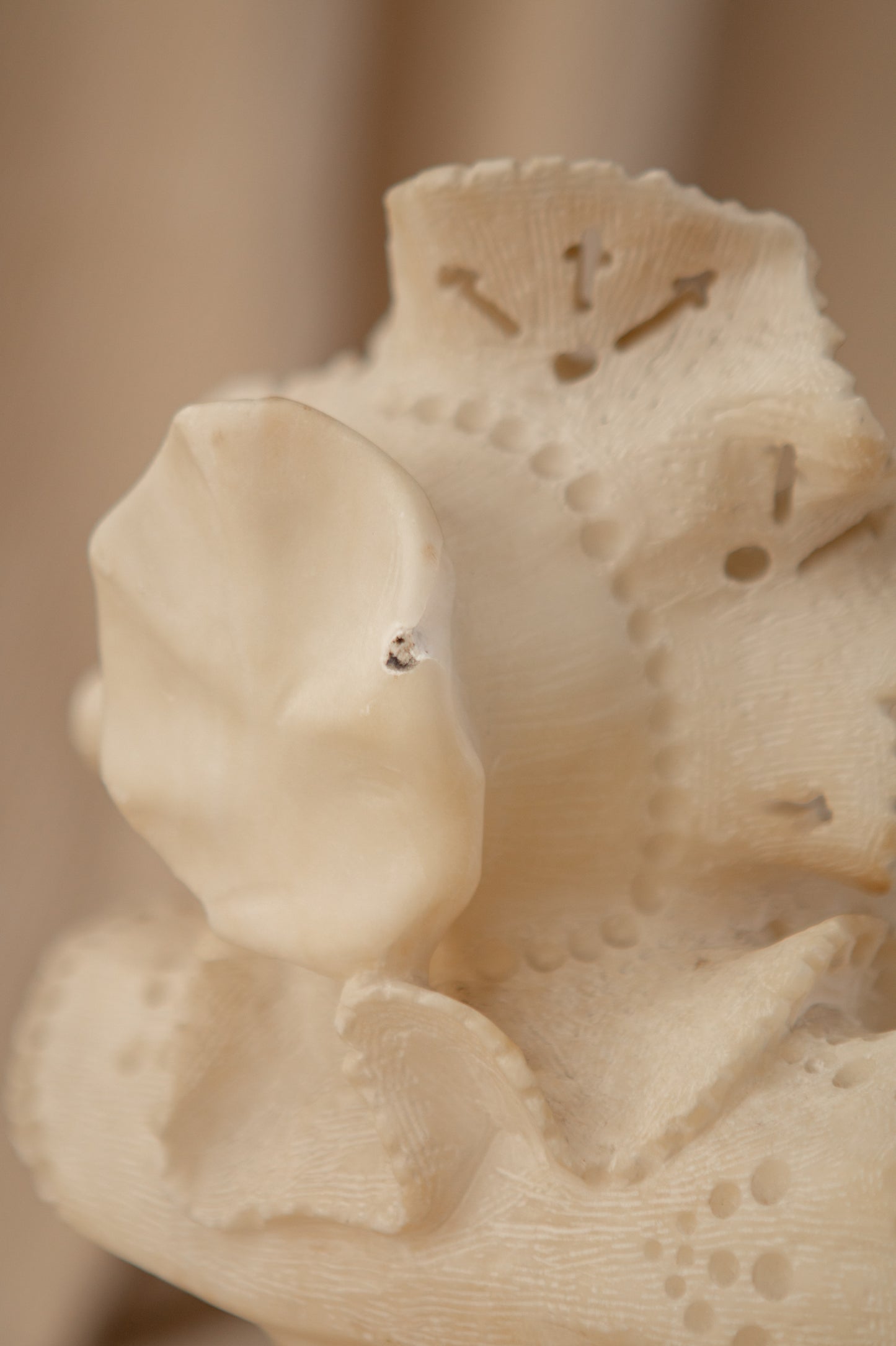 Alabaster Bust