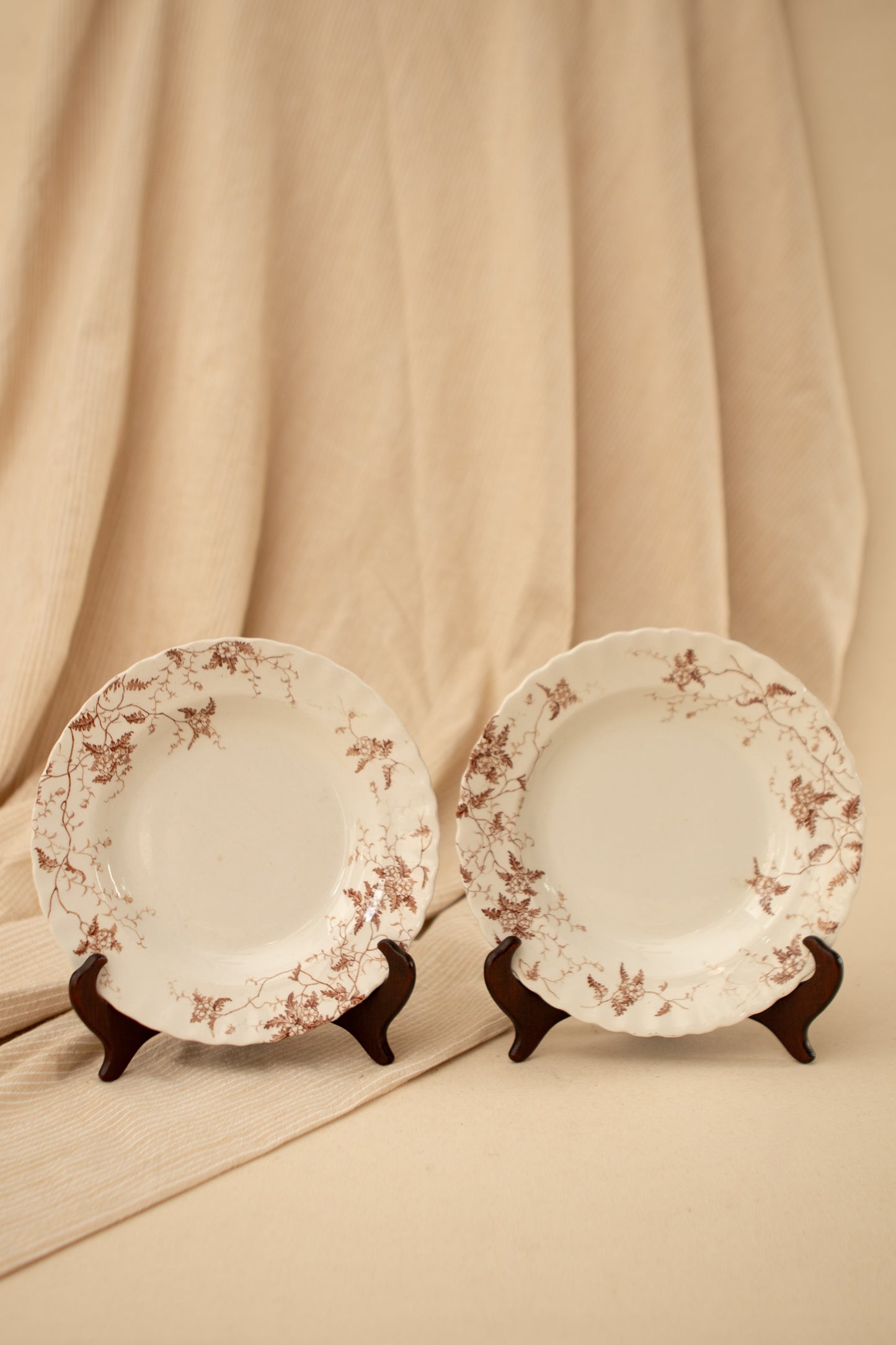 Set of Two Fern Brown Transferware Bowls