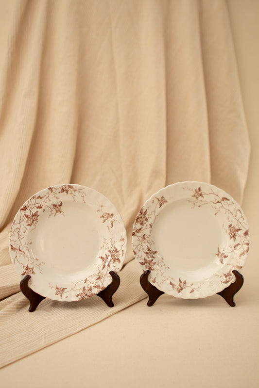 Set of Two Fern Brown Transferware Bowls
