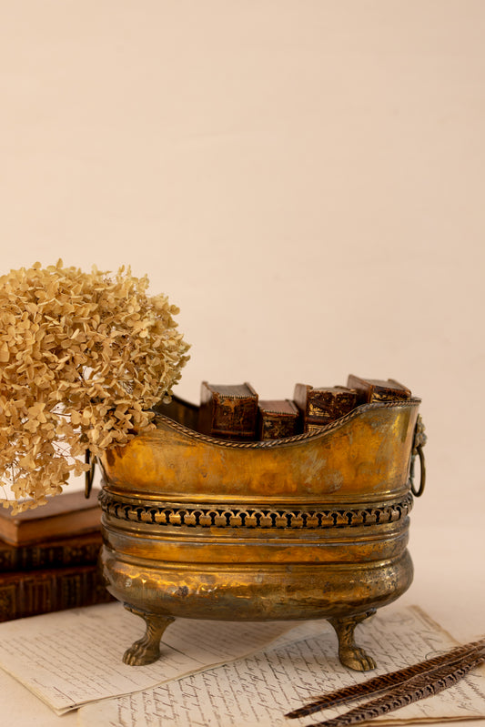 Spanish Brass Jardinière with Lion Ring Handles