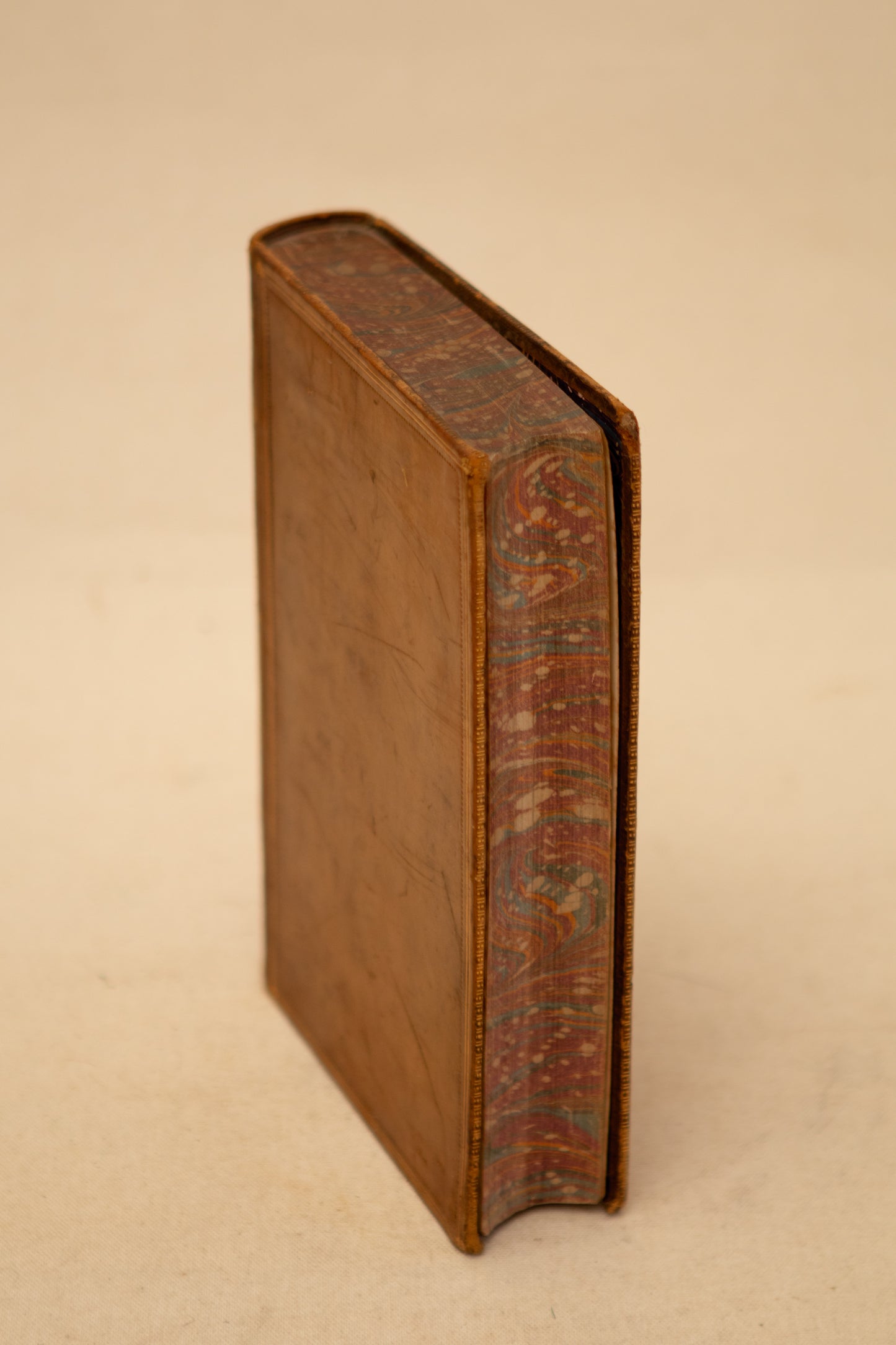 The Tropical World Book