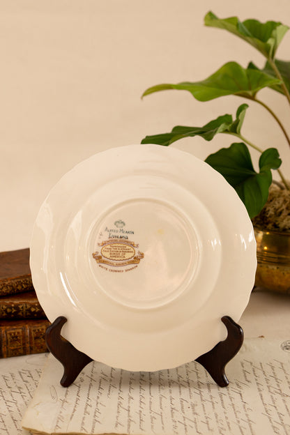 Alfred Meakin Audubon Bird Luncheon Plates