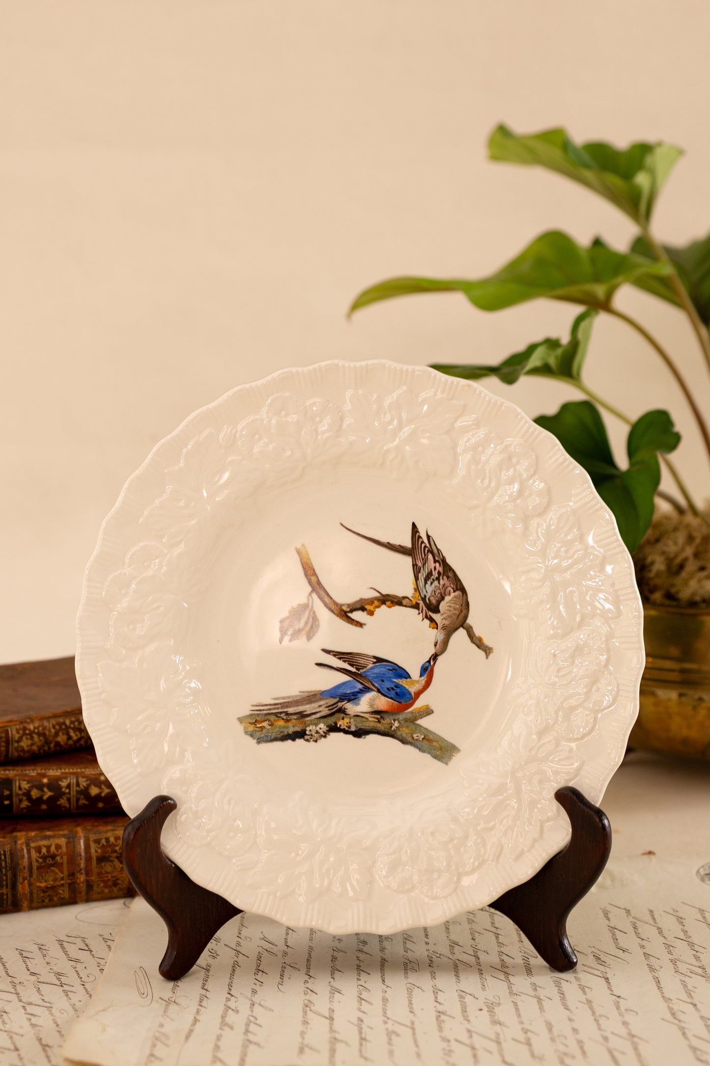 Alfred Meakin Audubon Bird Luncheon Plates