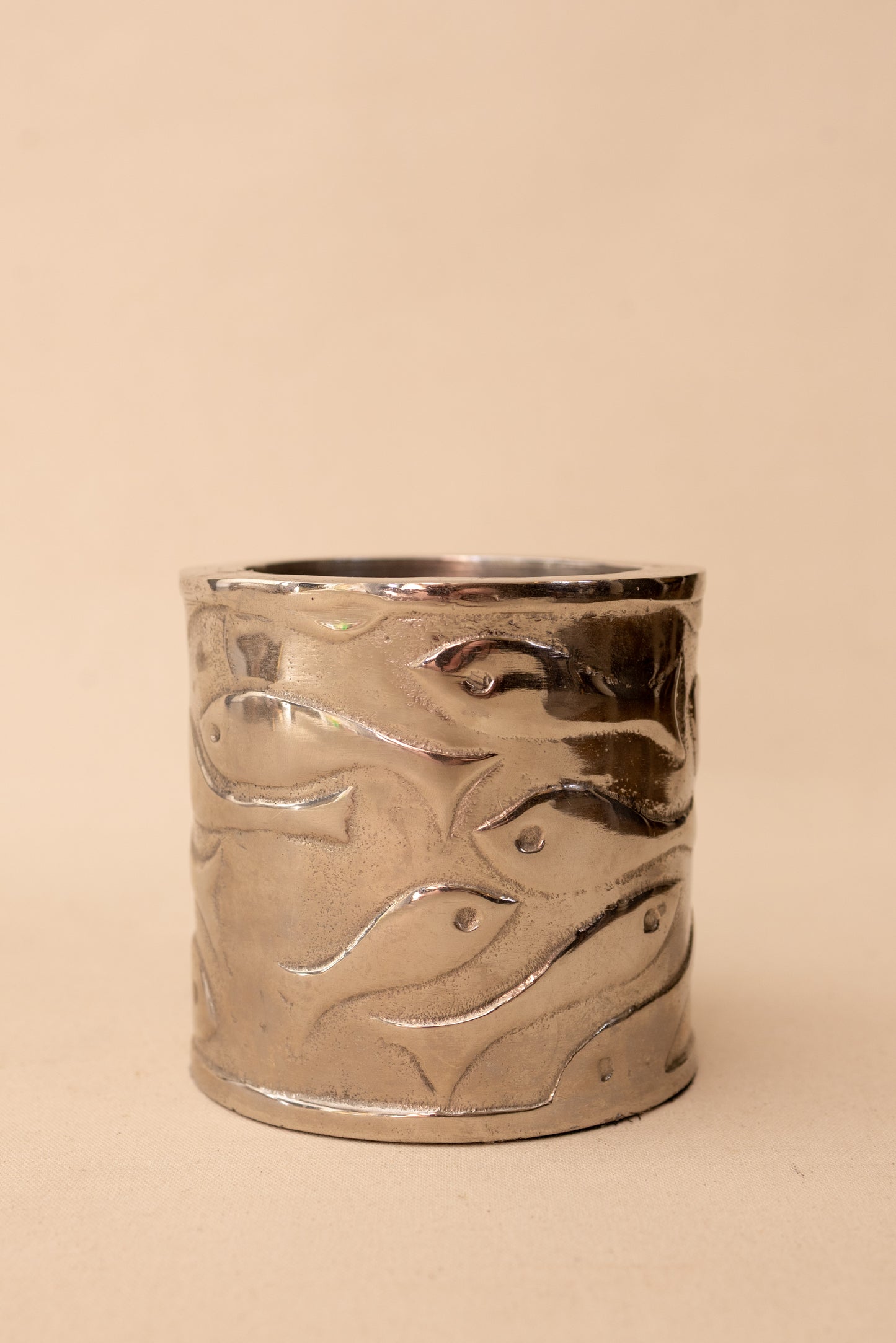 Silver Fish Canister
